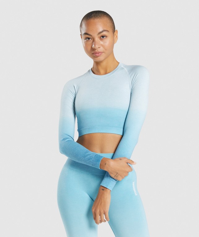 Gymshark Adapt Ombre Seamless Crop Top Lyse Blå Lyse Blå | WZrB3lSIJqE