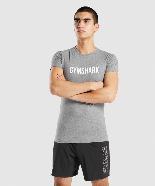 Gymshark Apollo Grå | wMm1cesbtwo