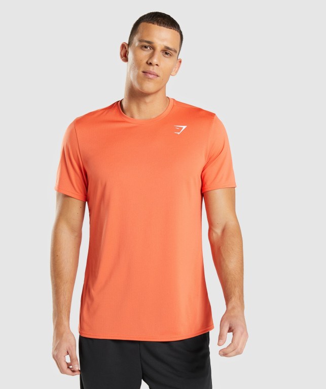 Gymshark Arrival Oransje | srqwrh2gJUw