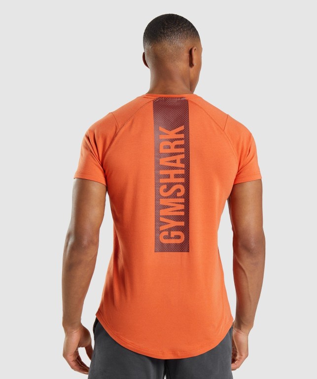 Gymshark Bold Oransje | xyw2OGQXh9q