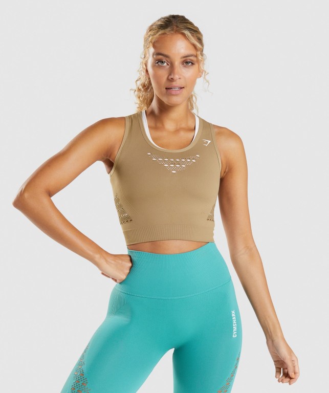 Gymshark Energy Seamless Crop Top Brune | 3QHkac6kgv5