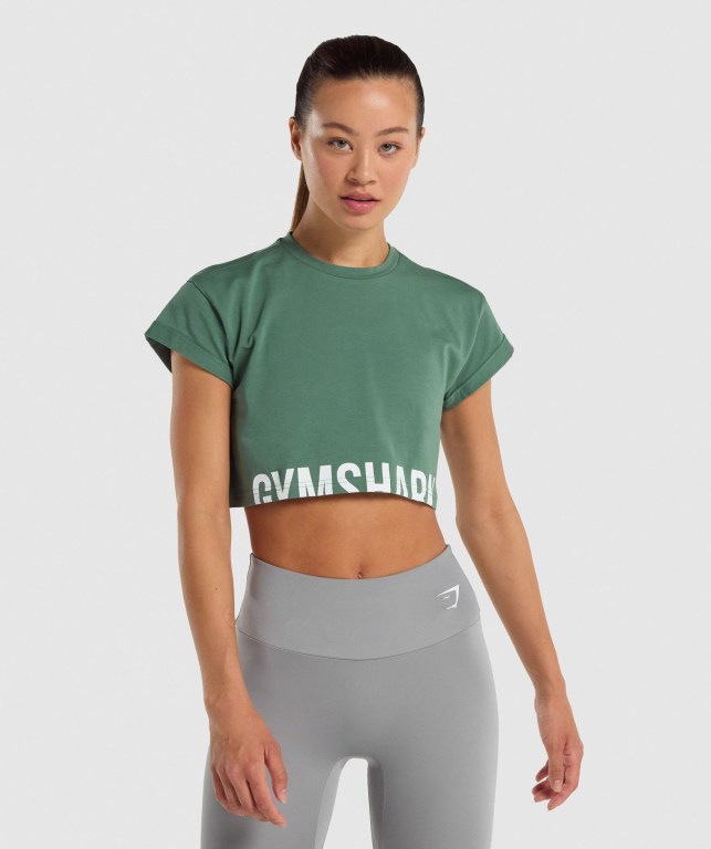 Gymshark Fraction Crop Top Grønn | KPhTJ8BtypG