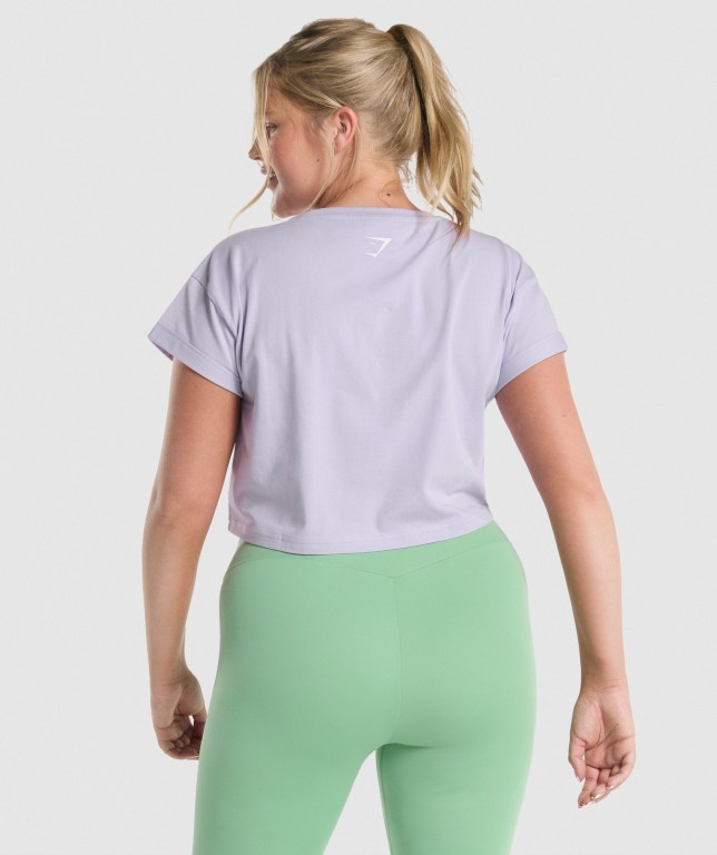 Gymshark Fraction Crop Top Lyse Lilla | Yh5CxUaKRDI