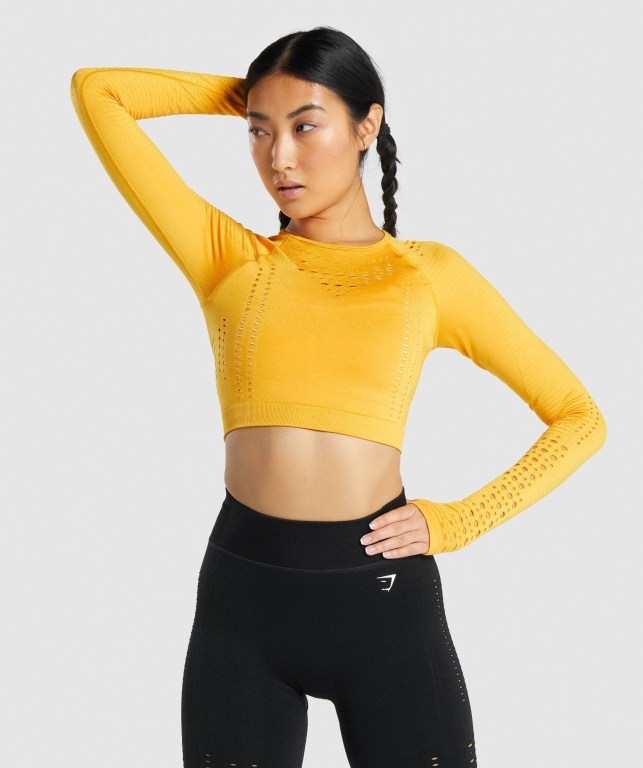 Gymshark Glow Seamless Crop Top Gul | u7roq21ISRG