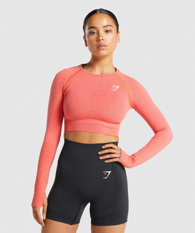 Gymshark Vital Seamless 2.0 Crop Top Oransje | PQe88lEGJzf