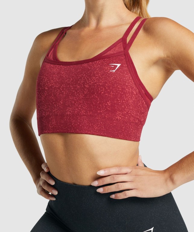 Gymshark Adapt Fleck Seamless Sports Bra Burgunder | 9iPNpXvuumw