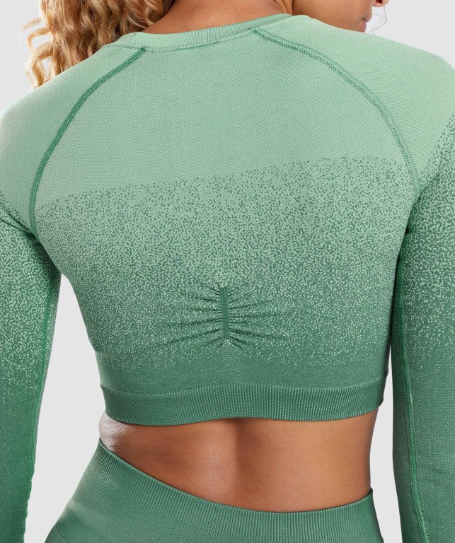 Gymshark Adapt Ombre Seamless Crop Top Grønn Lyse Grønn | bgLI6X1A4vP