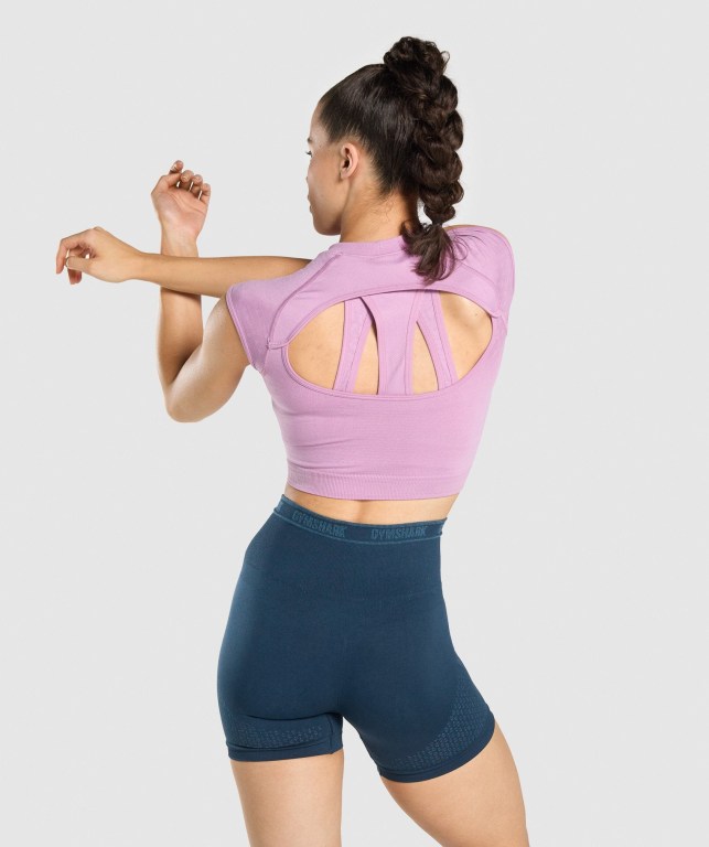 Gymshark Apex Seamless Crop Top Lilla Lyse Lilla | gP5I7feLl7C