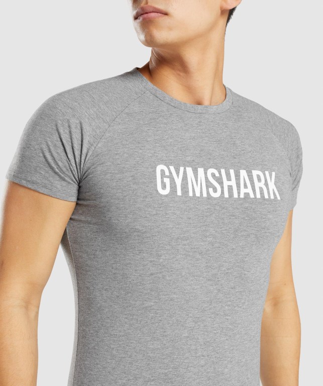 Gymshark Apollo Grå | wMm1cesbtwo