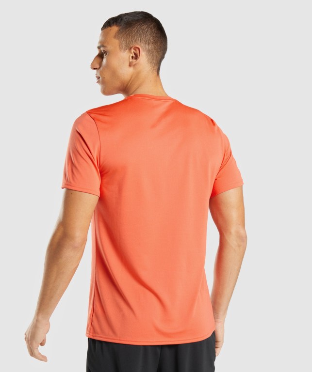 Gymshark Arrival Oransje | srqwrh2gJUw