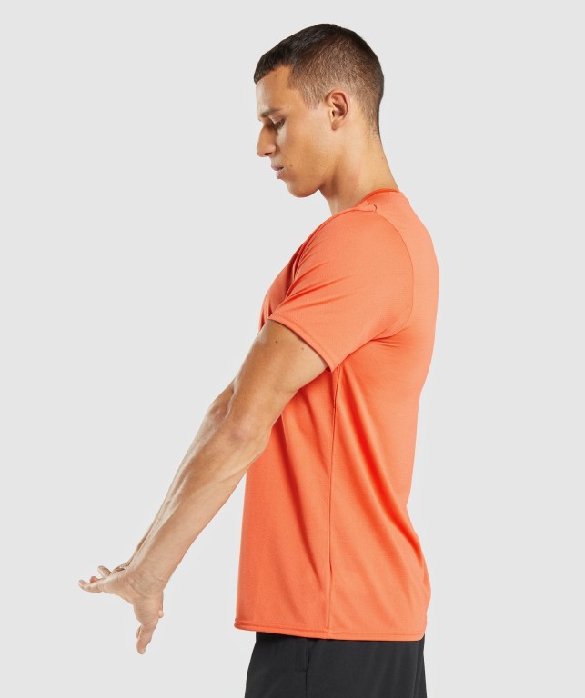 Gymshark Arrival Oransje | srqwrh2gJUw