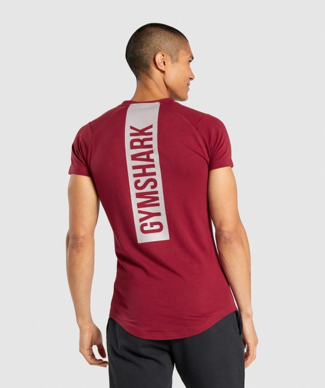 Gymshark Bold Burgunder | vvZCghE6cpk