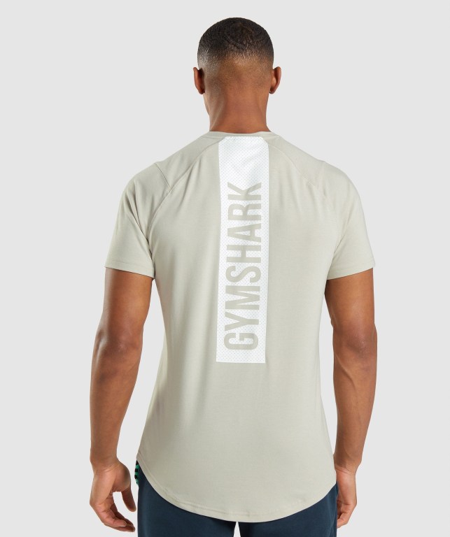 Gymshark Bold Grå | LSdwSgWxQT5