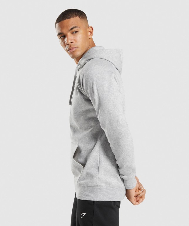 Gymshark Crest Lyse Grå | VZwKiOYhi6y