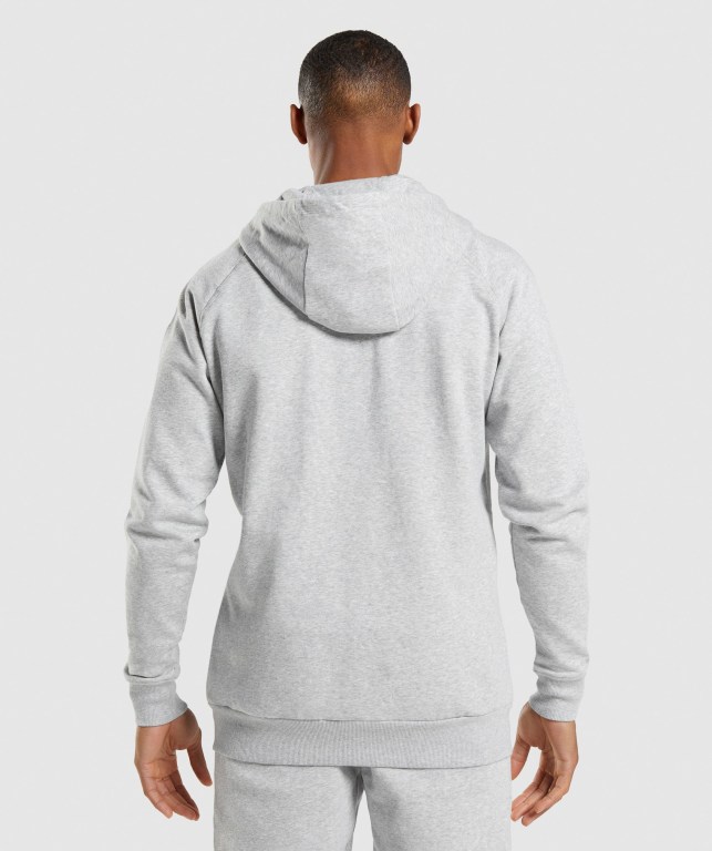 Gymshark Crest Zip Up Lyse Grå | 9Bzz9BkxPpf