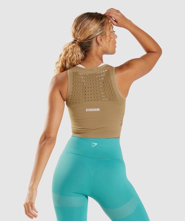 Gymshark Energy Seamless Crop Top Brune | 3QHkac6kgv5