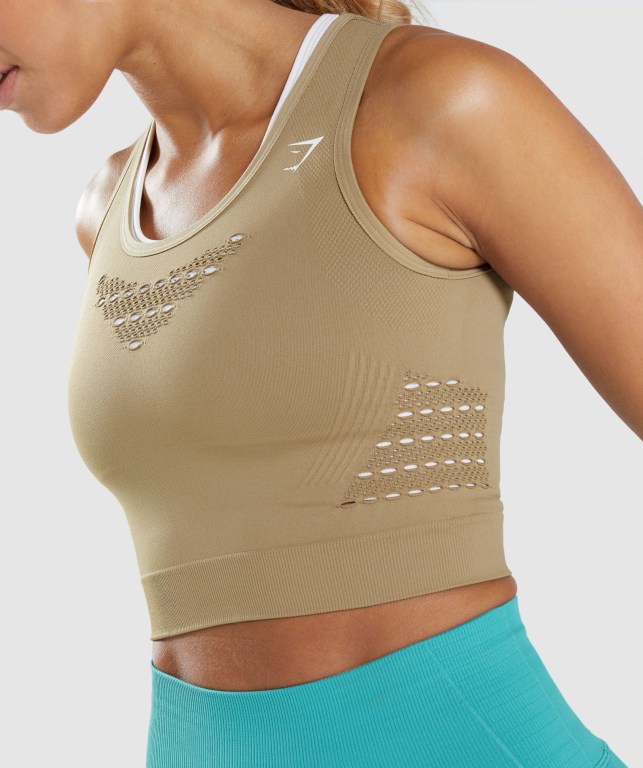 Gymshark Energy Seamless Crop Top Brune | 3QHkac6kgv5