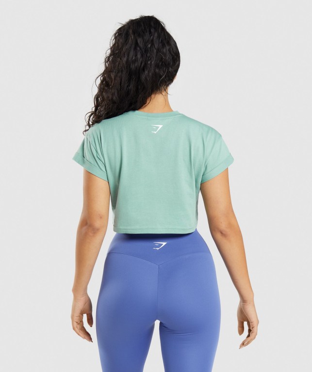 Gymshark Fraction Crop Top Blå | 34gan86y7GI