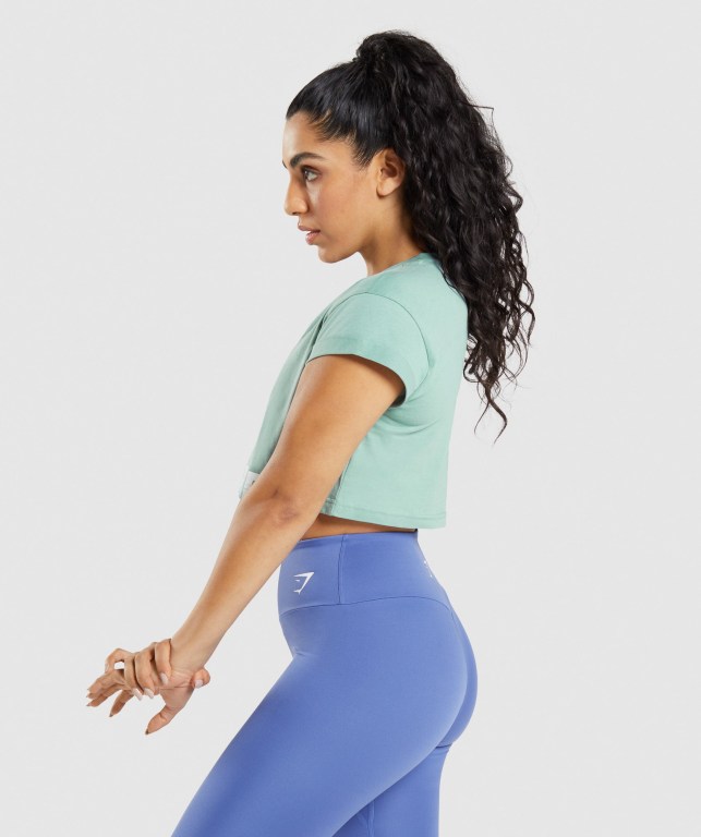 Gymshark Fraction Crop Top Blå | 34gan86y7GI