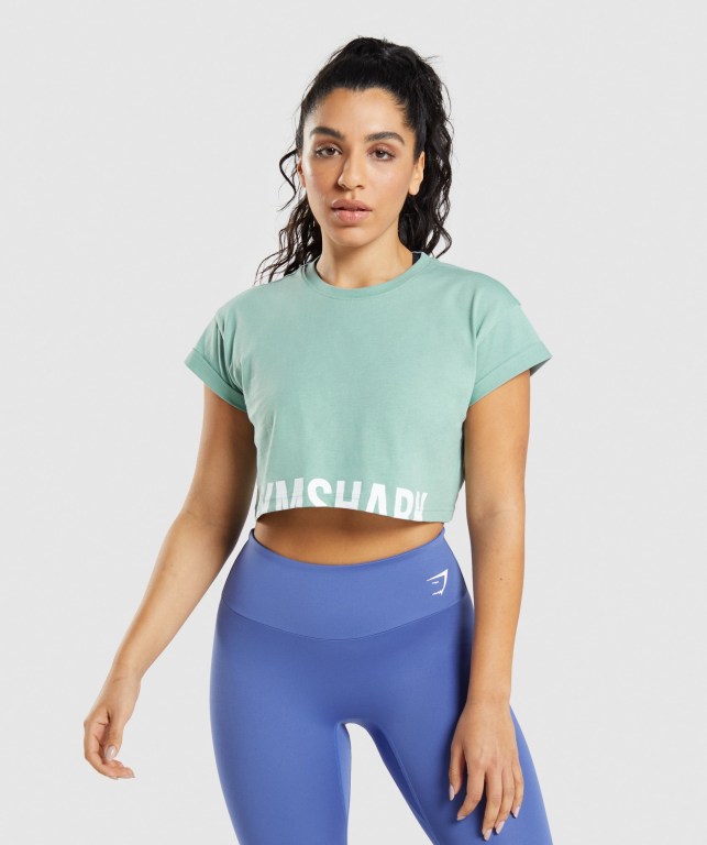 Gymshark Fraction Crop Top Blå | 34gan86y7GI