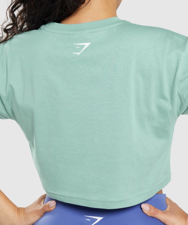 Gymshark Fraction Crop Top Blå | vojOjYf63rB