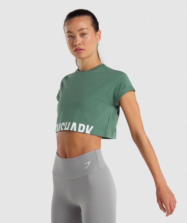 Gymshark Fraction Crop Top Grønn | KPhTJ8BtypG