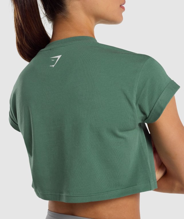 Gymshark Fraction Crop Top Grønn | KPhTJ8BtypG