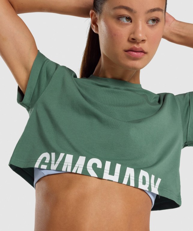 Gymshark Fraction Crop Top Grønn | KPhTJ8BtypG