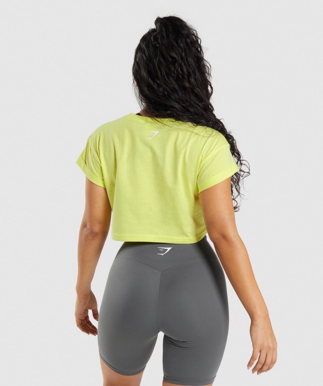 Gymshark Fraction Crop Top Grønn | gl1C88B8fQB