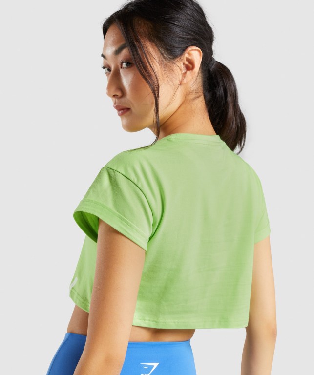 Gymshark Fraction Crop Top Grønn | hckxK492g6q