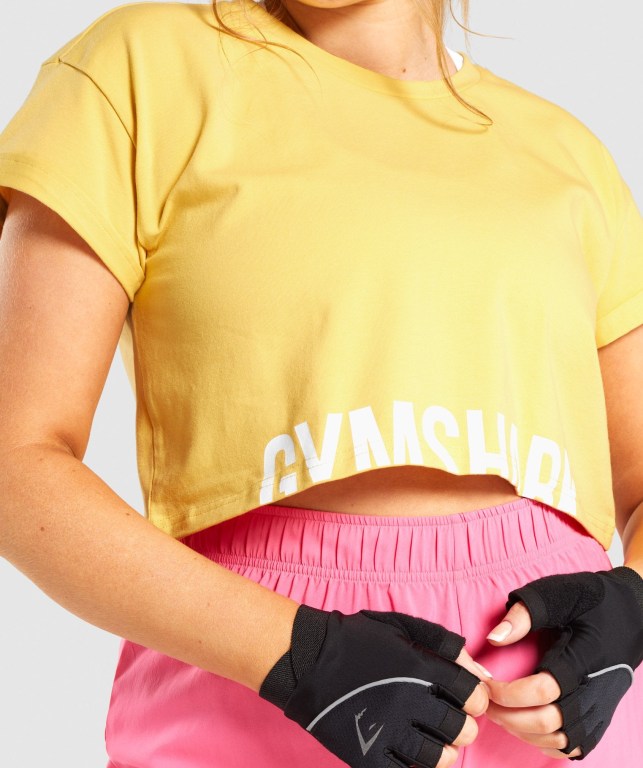 Gymshark Fraction Crop Top Gul | DFSMV4IAdkl