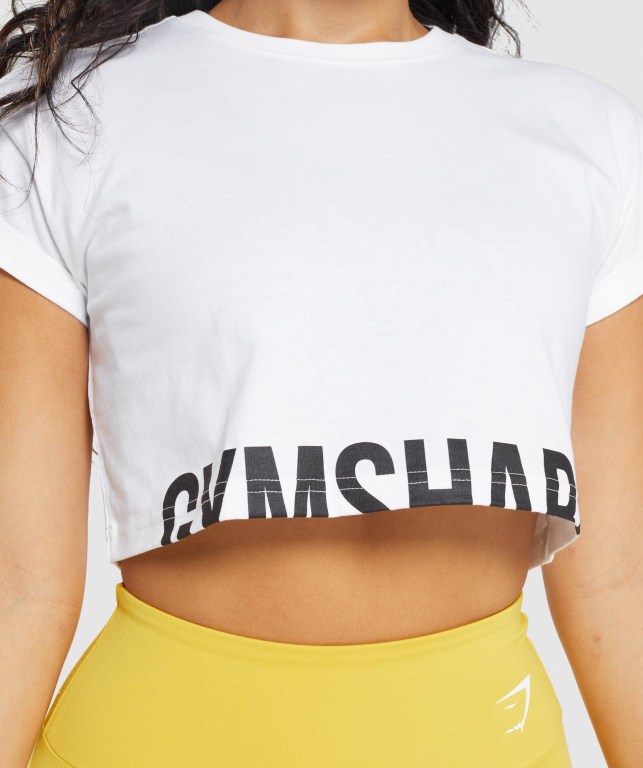 Gymshark Fraction Crop Top Hvite | AmtwE8U9uA2