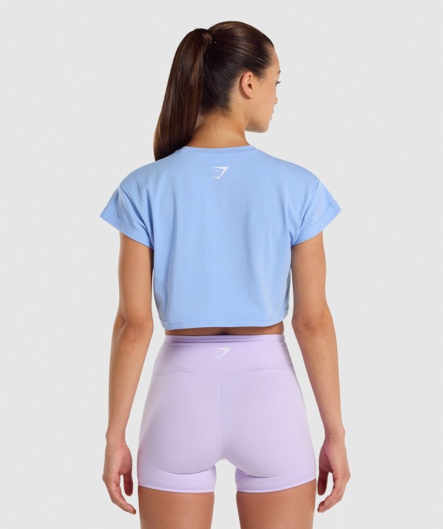 Gymshark Fraction Crop Top Lyse Blå | 96oJ6Elvade