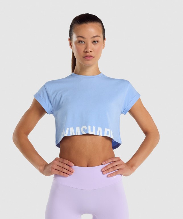 Gymshark Fraction Crop Top Lyse Blå | 96oJ6Elvade