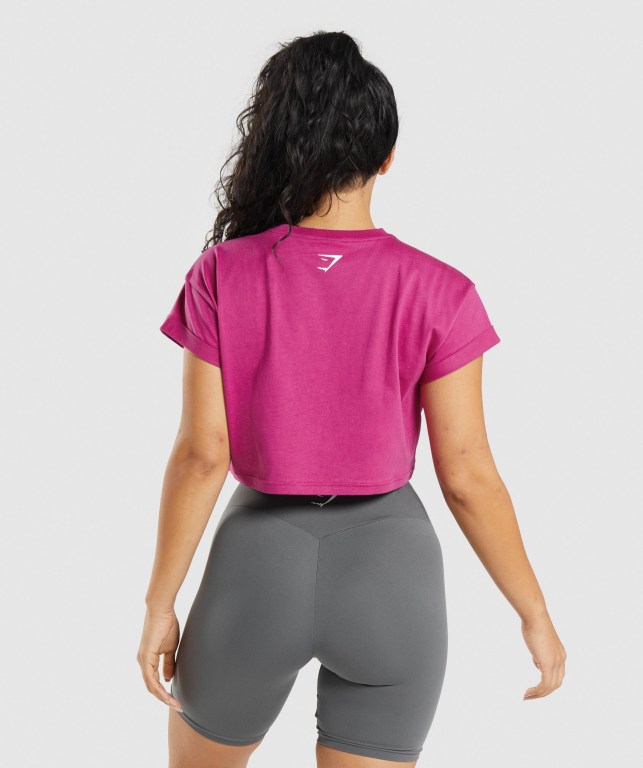 Gymshark Fraction Crop Top Rosa | 9jn7LbhEiMY