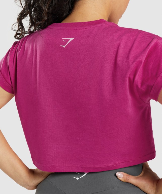 Gymshark Fraction Crop Top Rosa | Cppf3tEfqEG