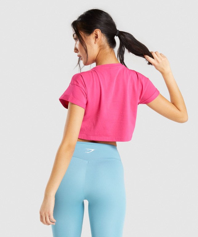 Gymshark Fraction Crop Top Rosa | D3grDgoezCR