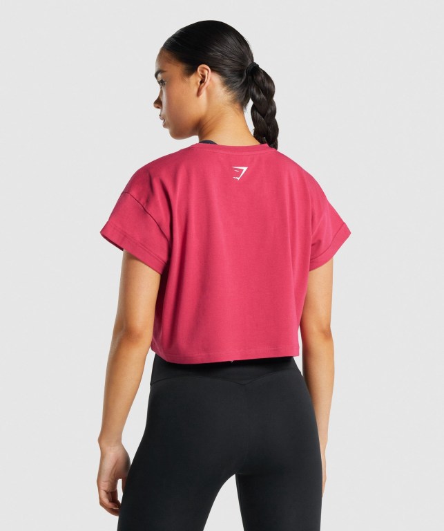 Gymshark Fraction Crop Top Rosa | E4LGKEkX2Jt