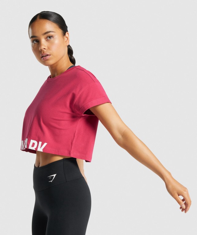 Gymshark Fraction Crop Top Rosa | E4LGKEkX2Jt