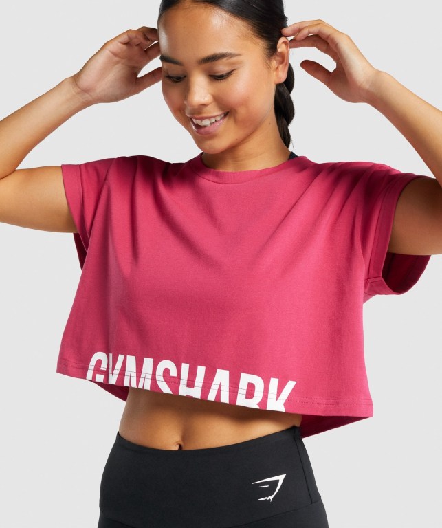 Gymshark Fraction Crop Top Rosa | E4LGKEkX2Jt