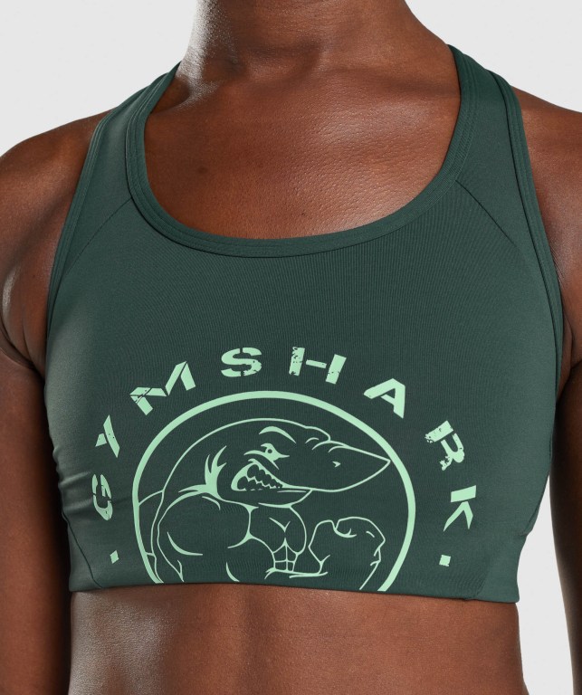 Gymshark Legacy Graphic Sports Bra Mørke Grønn | WPP6TNqScvN