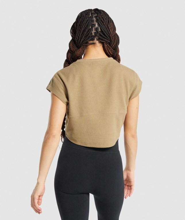 Gymshark Pause Crop Top Lyse Brune | acnhGf4UhRW