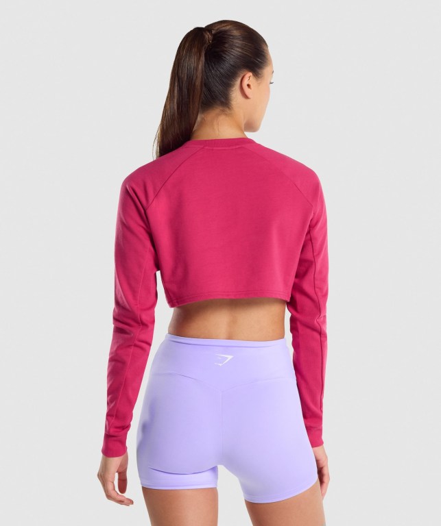 Gymshark Trenings Cropped Genser Rosa | ZMf4uzE2FGy