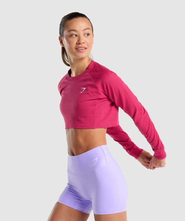 Gymshark Trenings Cropped Genser Rosa | ZMf4uzE2FGy