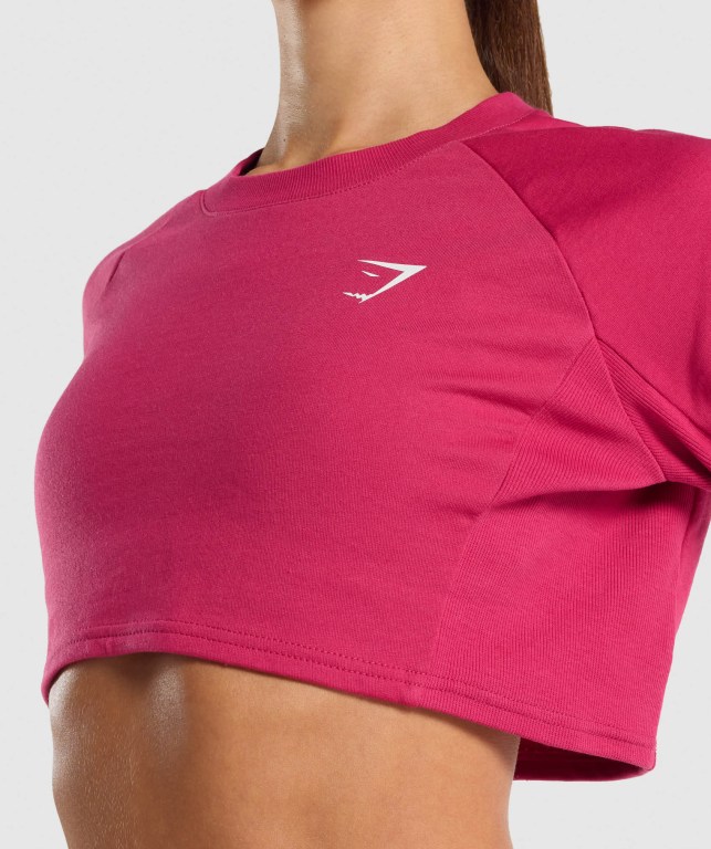 Gymshark Trenings Cropped Genser Rosa | ZMf4uzE2FGy