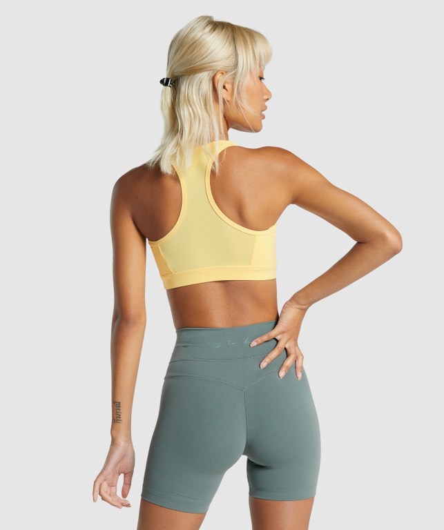 Gymshark Whitney Mesh Sports Bra Gul | GfHV8b6VRNq